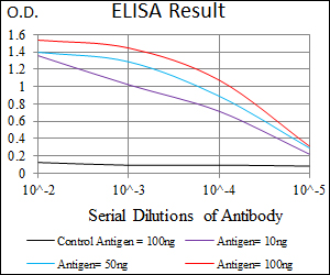 WDR66 Antibody - Red: Control Antigen (100ng); Purple: Antigen (10ng); Green: Antigen (50ng); Blue: Antigen (100ng);