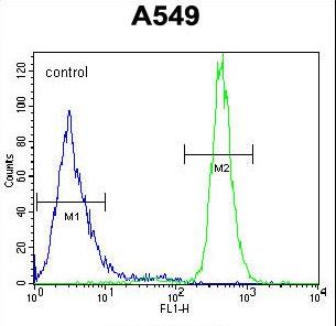 WFDC12 Antibody - WFDC12 Antibody flow cytometry of A549 cells (right histogram) compared to a negative control cell (left histogram). FITC-conjugated goat-anti-rabbit secondary antibodies were used for the analysis.