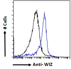 WIZ Antibody - WIZ antibody flow cytometric analysis of paraformaldehyde fixed HeLa cells (blue line), permeabilized with 0.5% Triton. Primary incubation 1hr (10ug/ml) followed by Alexa Fluor 488 secondary antibody (1ug/ml). IgG control: Unimmunized goat IgG (black line) followed by Alexa Fluor 488 secondary antibody.
