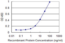 WWTR1 / TAZ Antibody - Detection limit for recombinant GST tagged WWTR1 is 0.3 ng/ml as a capture antibody.