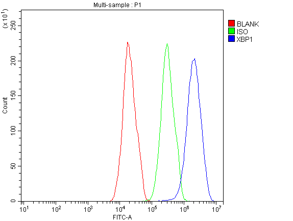 XBP1 Antibody - Flow Cytometry analysis of HepG2 cells using anti-XBP1 antibody. Overlay histogram showing HepG2 cells stained with anti-XBP1 antibody (Blue line). The cells were blocked with 10% normal goat serum. And then incubated with rabbit anti-XBP1 Antibody (1µg/10E6 cells) for 30 min at 20°C. DyLight®488 conjugated goat anti-rabbit IgG (5-10µg/10E6 cells) was used as secondary antibody for 30 minutes at 20°C. Isotype control antibody (Green line) was rabbit IgG (1µg/10E6 cells) used under the same conditions. Unlabelled sample (Red line) was also used as a control.