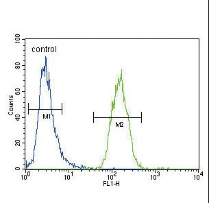 XDH / Xanthine Oxidase Antibody - XDH Antibody flow cytometry of MDA-MB231 cells (right histogram) compared to a negative control cell (left histogram). FITC-conjugated goat-anti-rabbit secondary antibodies were used for the analysis.