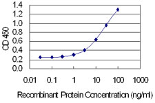 XPA Antibody - Detection limit for recombinant GST tagged XPA is 0.3 ng/ml as a capture antibody.