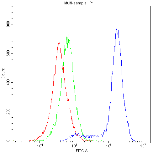 XPO1 / CRM1 Antibody - Flow Cytometry analysis of K562 cells using anti-Human CRM1 antibody. Overlay histogram showing K562 cells stained with anti-Human CRM1 antibody (Blue line). The cells were blocked with 10% normal goat serum. And then incubated with mouse anti-Human CRM1 Antibody (1µg/10E6 cells) for 30 min at 20°C. DyLight®488 conjugated goat anti-mouse IgG (5-10µg/10E6 cells) was used as secondary antibody for 30 minutes at 20°C. Isotype control antibody (Green line) was mouse IgG (1µg/10E6 cells) used under the same conditions. Unlabelled sample (Red line) was also used as a control.