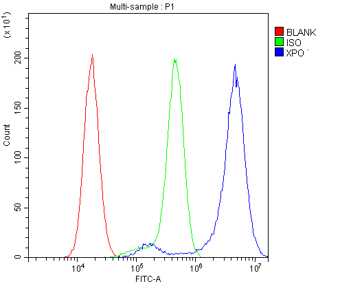 XPO1 / CRM1 Antibody - Flow Cytometry analysis of U87 cells using anti-CRM1 antibody. Overlay histogram showing U87 cells stained with anti-CRM1 antibody (Blue line). The cells were blocked with 10% normal goat serum. And then incubated with rabbit anti-CRM1 Antibody (1µg/10E6 cells) for 30 min at 20°C. DyLight®488 conjugated goat anti-rabbit IgG (5-10µg/10E6 cells) was used as secondary antibody for 30 minutes at 20°C. Isotype control antibody (Green line) was rabbit IgG (1µg/10E6 cells) used under the same conditions. Unlabelled sample (Red line) was also used as a control.