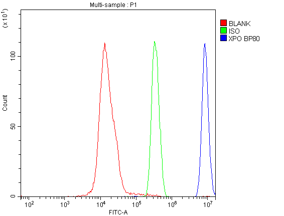 XPO1 / CRM1 Antibody - Flow Cytometry analysis of SiHa cells using anti-CRM1 antibody. Overlay histogram showing SiHa cells stained with anti-CRM1 antibody (Blue line). The cells were blocked with 10% normal goat serum. And then incubated with rabbit anti-CRM1 Antibody (1µg/10E6 cells) for 30 min at 20°C. DyLight®488 conjugated goat anti-rabbit IgG (5-10µg/10E6 cells) was used as secondary antibody for 30 minutes at 20°C. Isotype control antibody (Green line) was rabbit IgG (1µg/10E6 cells) used under the same conditions. Unlabelled sample (Red line) was also used as a control.