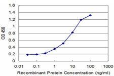 XRCC2 Antibody - Detection limit for recombinant GST tagged XRCC2 is approximately 0.3 ng/ml as a capture antibody.
