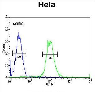 XRCC6 / Ku70 Antibody - XRCC6 Antibody flow cytometry of HeLa cells (right histogram) compared to a negative control cell (left histogram). FITC-conjugated goat-anti-rabbit secondary antibodies were used for the analysis.
