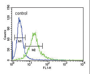 XRCC6 / Ku70 Antibody - Ku70 Antibody flow cytometry of 293 cells (right histogram) compared to a negative control cell (left histogram). FITC-conjugated goat-anti-rabbit secondary antibodies were used for the analysis.