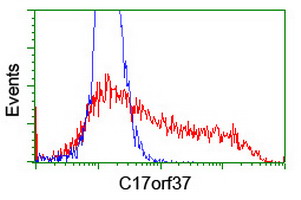 XTP4 / C17orf37 Antibody - HEK293T cells transfected with either overexpress plasmid (Red) or empty vector control plasmid (Blue) were immunostained by anti-C17orf37 antibody, and then analyzed by flow cytometry.