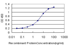 YBX3 / CSDA Antibody - Detection limit for recombinant GST tagged CSDA is approximately 0.3 ng/ml as a capture antibody.