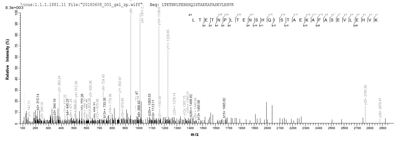 yscM Protein - Based on the SEQUEST from database of E.coli host and target protein, the LC-MS/MS Analysis result of Recombinant Yersinia enterocolitica Yop proteins translocation protein M(yscM) could indicate that this peptide derived from E.coli-expressed Yersinia enterocolitica yscM.