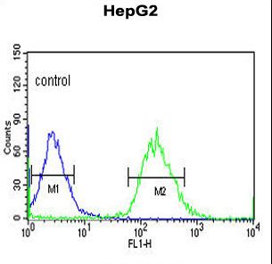 YME1L1 Antibody - YMEL1 Antibody flow cytometry of HepG2 cells (right histogram) compared to a negative control cell (left histogram). FITC-conjugated goat-anti-rabbit secondary antibodies were used for the analysis.