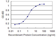 Yo / CDR2 Antibody - Detection limit for recombinant GST tagged CDR2 is 0.03 ng/ml as a capture antibody.
