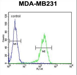 YWHAZ / 14-3-3 Zeta Antibody - YWHAZ Antibody flow cytometry of MDA-MB231 cells (right histogram) compared to a negative control cell (left histogram). FITC-conjugated goat-anti-rabbit secondary antibodies were used for the analysis.