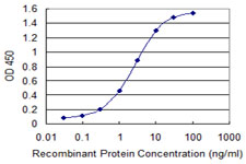 YWHAZ / 14-3-3 Zeta Antibody - Detection limit for recombinant GST tagged YWHAZ is 0.03 ng/ml as a capture antibody.