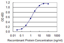 ZAN / Zonadhesin Antibody - Detection limit for recombinant GST tagged ZAN is 0.03 ng/ml as a capture antibody.