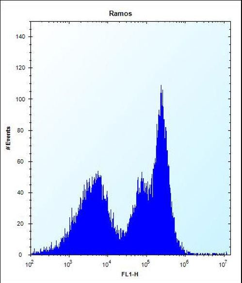 ZAP70 Antibody - ZAP70 Antibody flow cytometry of Ramos cells (right histogram) compared to a negative control cell (left histogram). FITC-conjugated donkey-anti-rabbit secondary antibodies were used for the analysis.