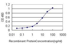 ZAP70 Antibody - Detection limit for recombinant GST tagged ZAP70 is approximately 0.3 ng/ml as a capture antibody.