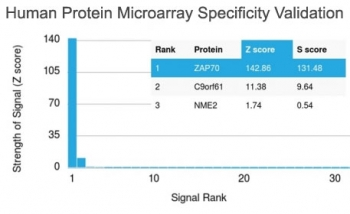ZAP70 Antibody - Analysis of HuProt(TM) microarray containing more than 19,000 full-length human proteins using ZAP70 antibody (clone ZAP70/2046). These results demonstrate the foremost specificity of the ZAP70/2046 mAb. Z- and S- score: The Z-score represents the strength of a signal that an antibody (in combination with a fluorescently-tagged anti-IgG secondary Ab) produces when binding to a particular protein on the HuProt(TM) array. Z-scores are described in units of standard deviations (SDs) above the mean value of all signals generated on that array. If the targets on the HuProt(TM) are arranged in descending order of the Z-score, the S-score is the difference (also in units of SDs) between the Z-scores. The S-score therefore represents the relative target specificity of an Ab to its intended target.