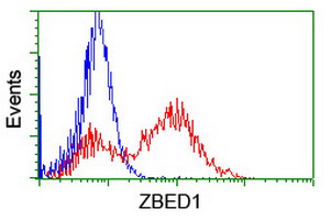 ZBED1 / TRAMP Antibody - HEK293T cells transfected with either overexpress plasmid (Red) or empty vector control plasmid (Blue) were immunostained by anti-ZBED1 antibody, and then analyzed by flow cytometry.