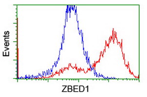 ZBED1 / TRAMP Antibody - HEK293T cells transfected with either overexpress plasmid (Red) or empty vector control plasmid (Blue) were immunostained by anti-ZBED1 antibody, and then analyzed by flow cytometry.
