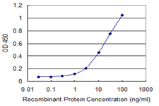 ZBP1 Antibody - Detection limit for recombinant GST tagged ZBP1 is 0.3 ng/ml as a capture antibody.