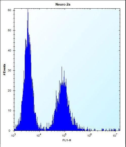 ZC3H8 Antibody - ZC3H8 Antibody flow cytometry of Neuro-2a cells (right histogram) compared to a negative control cell (left histogram). FITC-conjugated donkey-anti-rabbit secondary antibodies were used for the analysis.