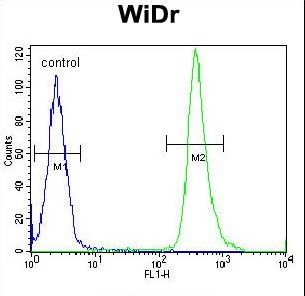 ZC4H2 Antibody - ZC4H2 Antibody flow cytometry of WiDr cells (right histogram) compared to a negative control cell (left histogram). FITC-conjugated goat-anti-rabbit secondary antibodies were used for the analysis.