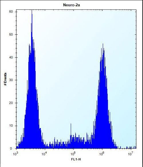 ZCRB1 Antibody - ZCRB1 Antibody flow cytometry of Neuro-2a cells (right histogram) compared to a negative control cell (left histogram). FITC-conjugated donkey-anti-rabbit secondary antibodies were used for the analysis.