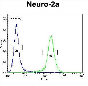 ZDHHC2 Antibody - ZDHC2 Antibody flow cytometry of Neuro-2a cells (right histogram) compared to a negative control cell (left histogram). FITC-conjugated goat-anti-rabbit secondary antibodies were used for the analysis.