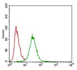ZEB1 / AREB6 Antibody - Flow Cytometry: ZEB1 Antibody (2A8A6) - Flow cytometric analysis of HeLa cells using ZEB1 mouse mAb (green) and negative control (red).  This image was taken for the unconjugated form of this product. Other forms have not been tested.