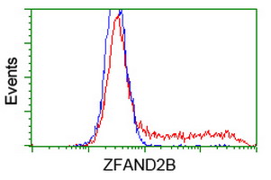 ZFAND2B Antibody - HEK293T cells transfected with either overexpress plasmid (Red) or empty vector control plasmid (Blue) were immunostained by anti-ZFAND2B antibody, and then analyzed by flow cytometry.