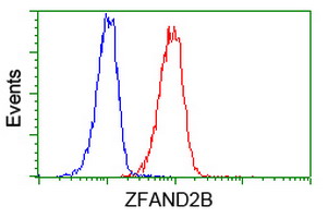 ZFAND2B Antibody - Flow cytometry of Jurkat cells, using anti-ZFAND2B antibody (Red), compared to a nonspecific negative control antibody (Blue).