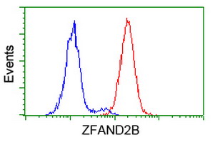 ZFAND2B Antibody - Flow cytometry of HeLa cells, using anti-ZFAND2B antibody (Red), compared to a nonspecific negative control antibody (Blue).