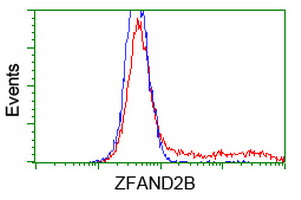 ZFAND2B Antibody - HEK293T cells transfected with either overexpress plasmid (Red) or empty vector control plasmid (Blue) were immunostained by anti-ZFAND2B antibody, and then analyzed by flow cytometry.