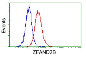 ZFAND2B Antibody - Flow cytometry of Jurkat cells, using anti-ZFAND2B antibody (Red), compared to a nonspecific negative control antibody (Blue).