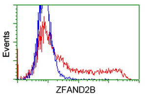 ZFAND2B Antibody - HEK293T cells transfected with either overexpress plasmid (Red) or empty vector control plasmid (Blue) were immunostained by anti-ZFAND2B antibody, and then analyzed by flow cytometry.