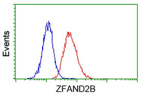 ZFAND2B Antibody - Flow cytometry of Jurkat cells, using anti-ZFAND2B antibody (Red), compared to a nonspecific negative control antibody (Blue).