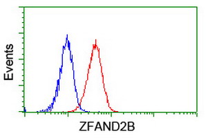 ZFAND2B Antibody - Flow cytometry of Jurkat cells, using anti-ZFAND2B antibody (Red), compared to a nonspecific negative control antibody (Blue).