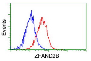 ZFAND2B Antibody - Flow cytometry of HeLa cells, using anti-ZFAND2B antibody (Red), compared to a nonspecific negative control antibody (Blue).