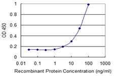 Zfp105 / ZNF35 Antibody - Detection limit for recombinant GST tagged ZNF35 is 1 ng/ml as a capture antibody.