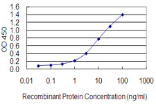 ZFP161 Antibody - Detection limit for recombinant GST tagged ZFP161 is 0.1 ng/ml as a capture antibody.