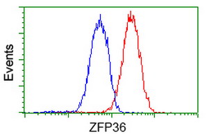 ZFP36 / Tristetraprolin Antibody - Flow cytometry of Jurkat cells, using anti-ZFP36 antibody (Red), compared to a nonspecific negative control antibody (Blue).