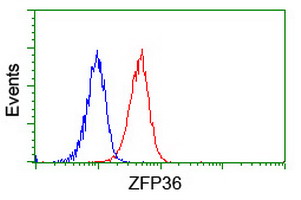 ZFP36 / Tristetraprolin Antibody - Flow cytometry of Jurkat cells, using anti-ZFP36 antibody (Red), compared to a nonspecific negative control antibody (Blue).
