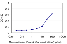 ZFP36L1 Antibody - Detection limit for recombinant GST tagged ZFP36L1 is approximately 1 ng/ml as a capture antibody.
