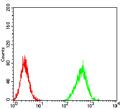 ZFP91 Antibody - Flow cytometric analysis of Hela cells using ZFP91 mouse mAb (green) and negative control (red).