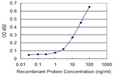 ZFYVE19 Antibody - Detection limit for recombinant GST tagged ZFYVE19 is 1 ng/ml as a capture antibody.