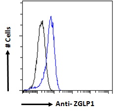 ZGLP1 Antibody - ZGLP1 antibody flow cytometric analysis of paraformaldehyde fixed K562 cells (blue line), permeabilized with 0.5% Triton. Primary incubation 1hr (10ug/ml) followed by Alexa Fluor 488 secondary antibody (1ug/ml). IgG control: Unimmunized goat IgG (black line) followed by Alexa Fluor 488 secondary antibody.