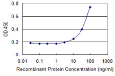 ZHX3 Antibody - Detection limit for recombinant GST tagged ZHX3 is 1 ng/ml as a capture antibody.